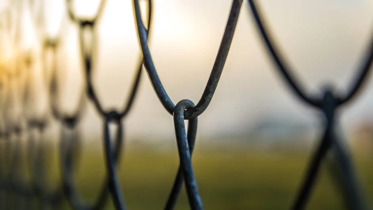 desapariciones y abandono